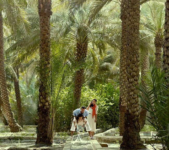 eco flight etihad airways