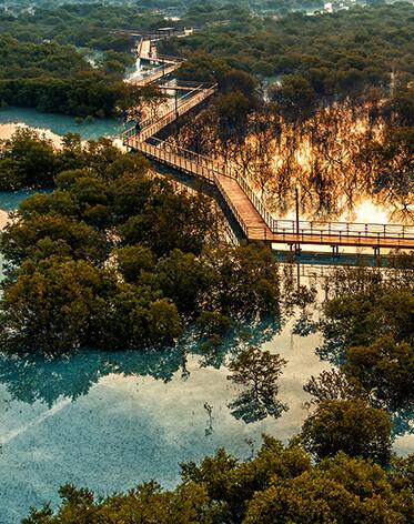 منظر الغروب في غابات القرم في أبوظبي
