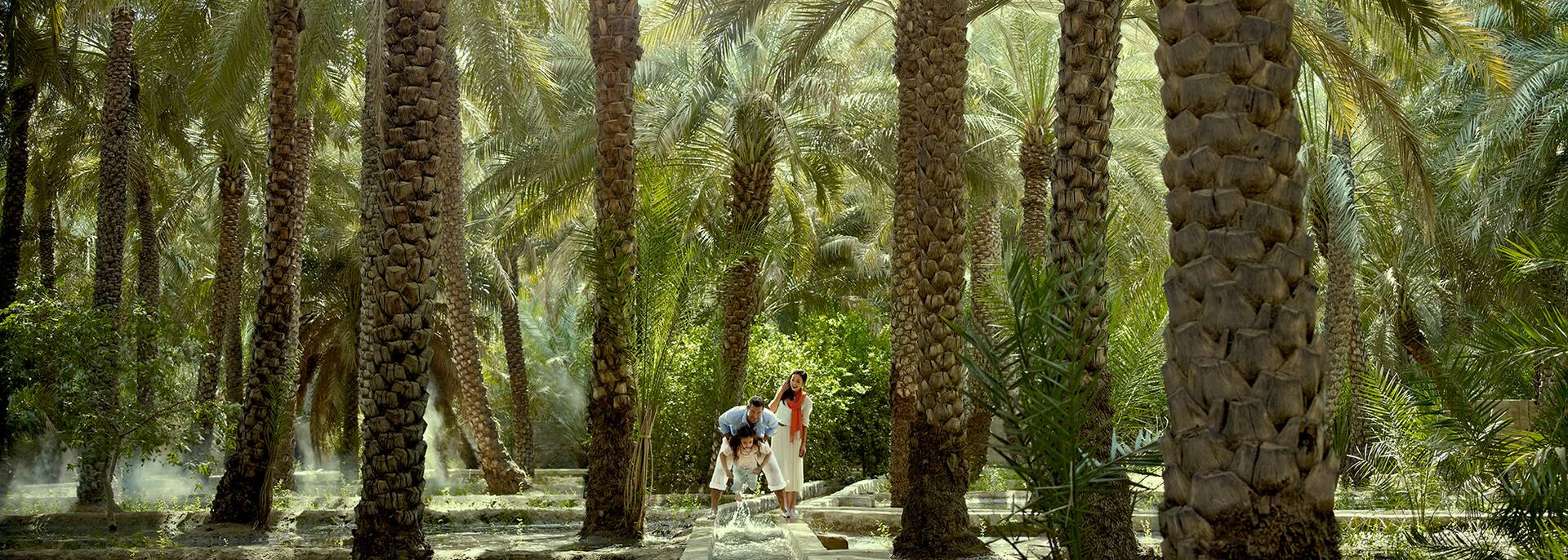 eco flight etihad airways