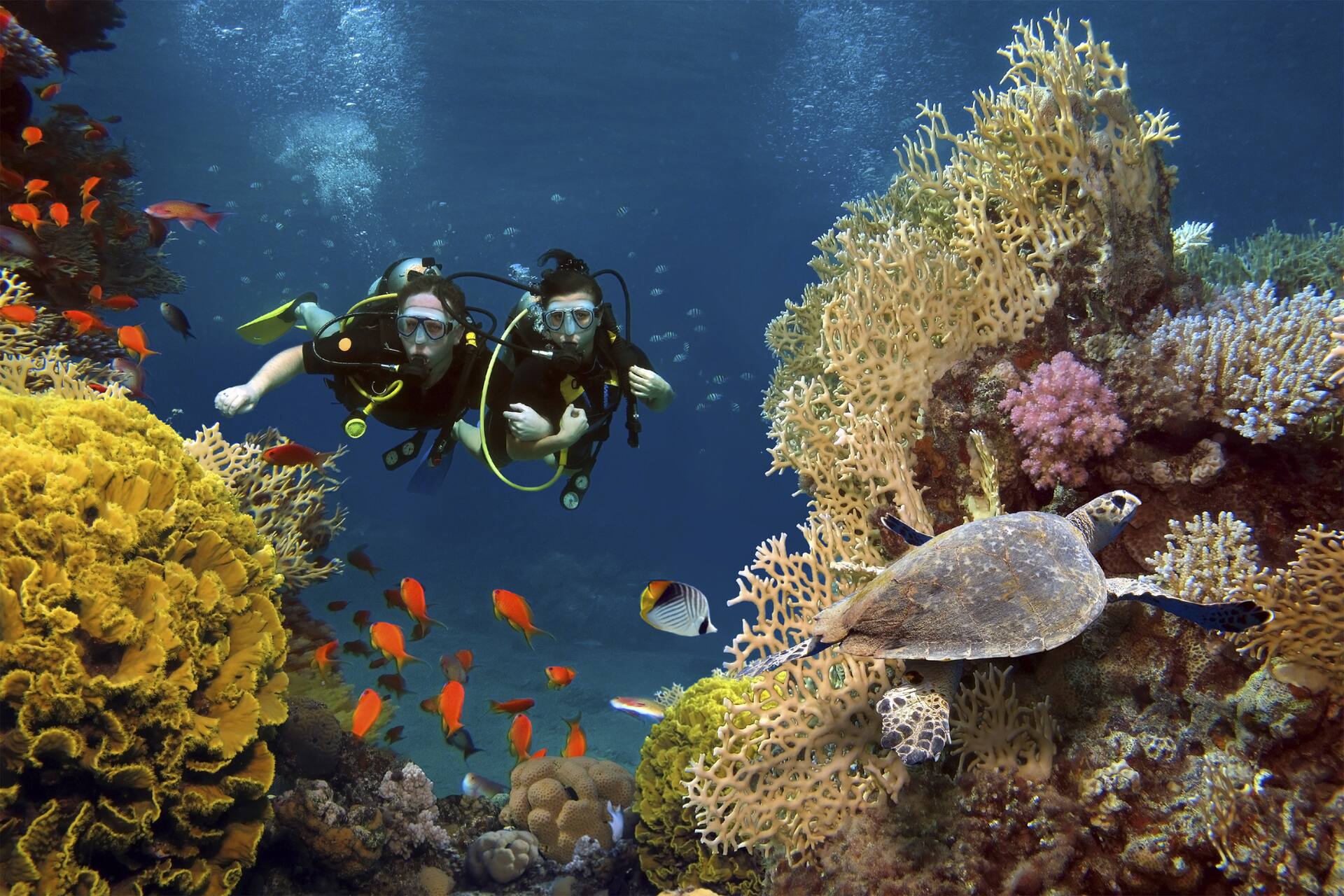 couple diving maldives