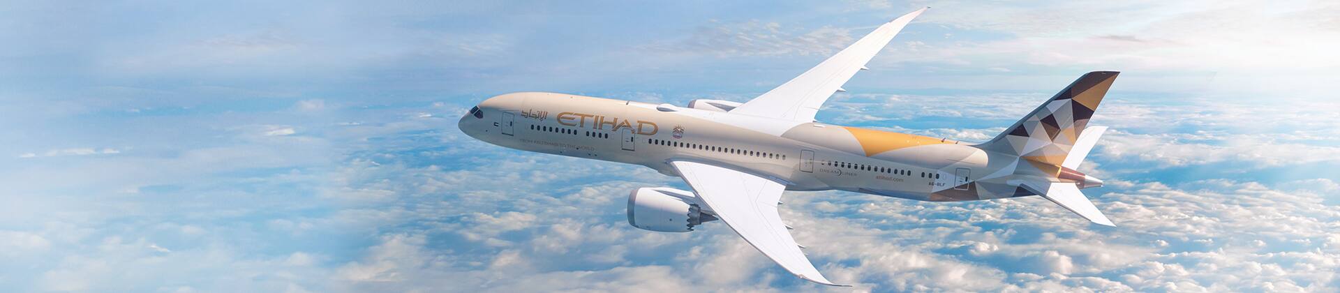 guest airplane window