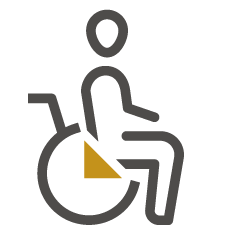 special assistance icon