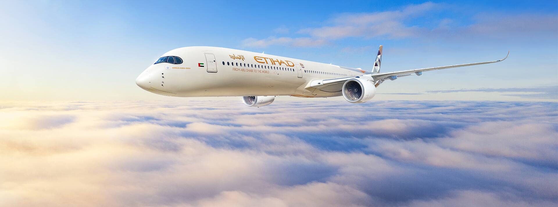 guest airplane window