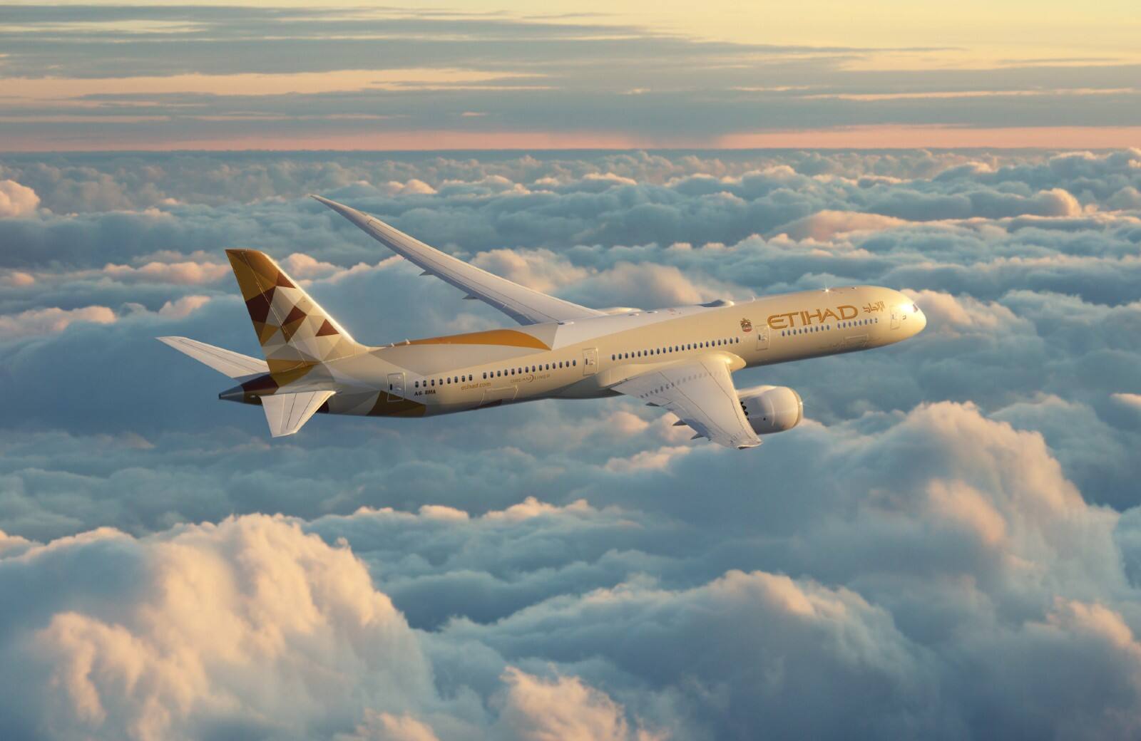 etihad flight in the sky